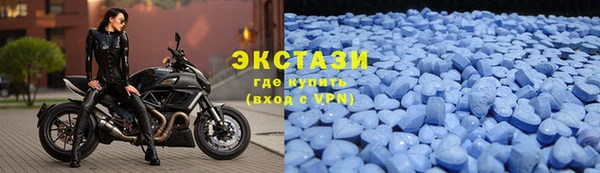 амф Новозыбков