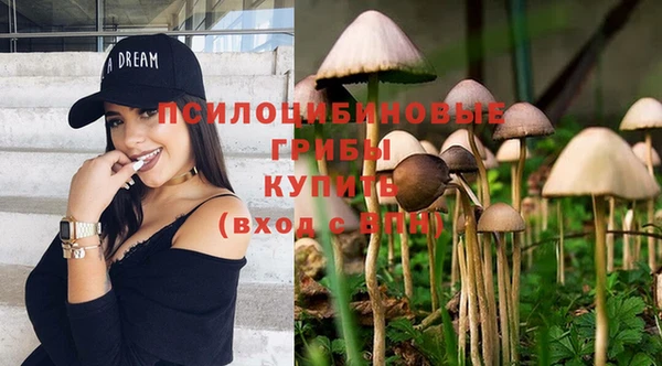 эйфоретик Новокубанск