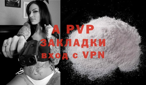 амф Новозыбков