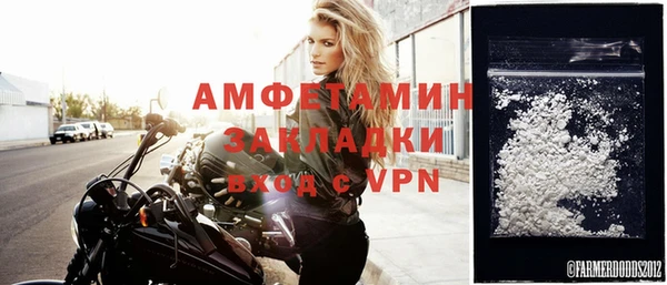 амф Новозыбков