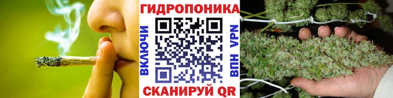 Марихуана Amnesia  mega вход  Шуя 